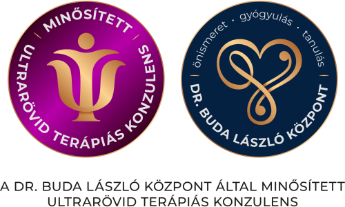 Minősített konzulensi logó